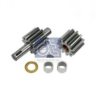 DT 2.31022 Gear Set, oil pump